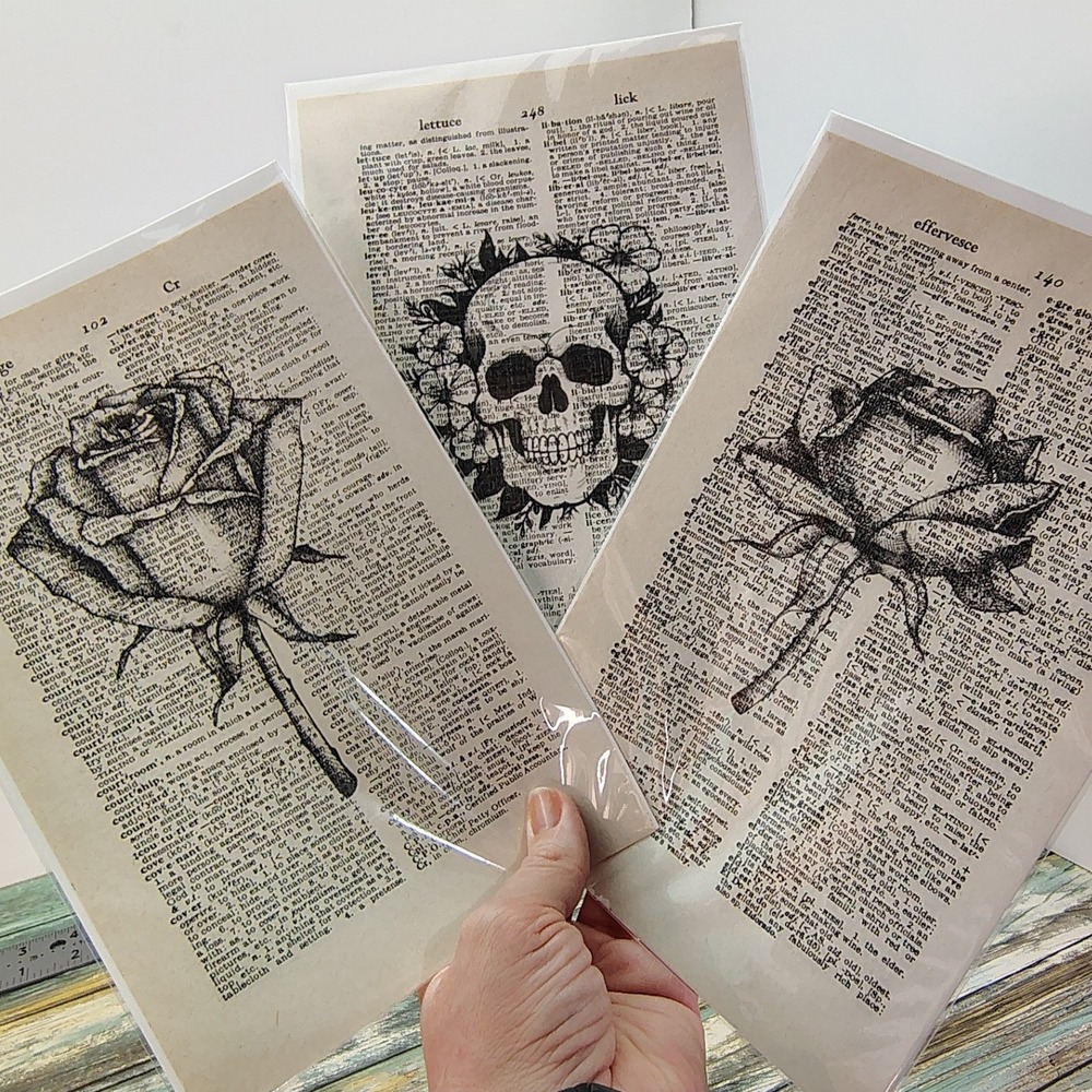 Rose and Skull Art Vintage Dictionary Page Decor Gothic Floral Wall Prints Set 3